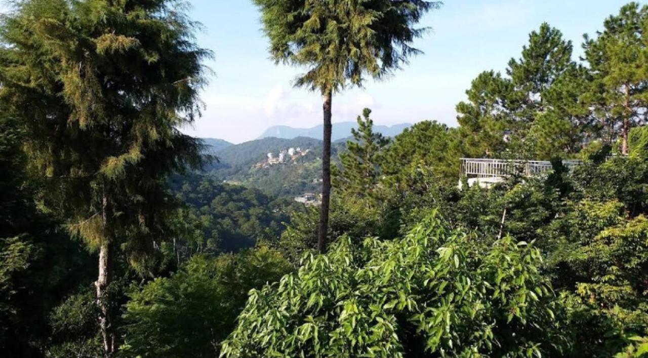 Villa Dieu Thong - Secrect Garden, View San May Va Nui Dalat Exteriör bild