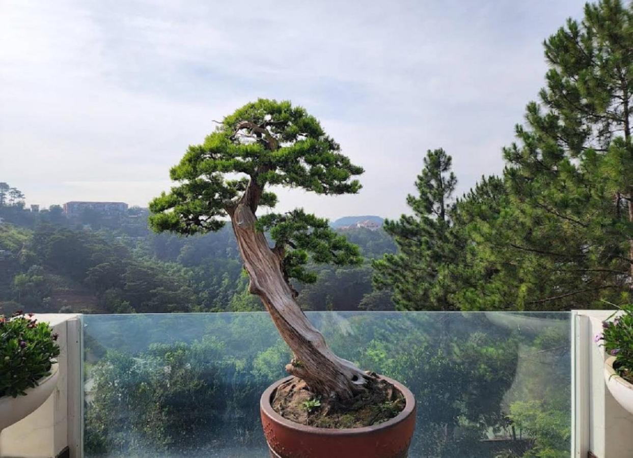 Villa Dieu Thong - Secrect Garden, View San May Va Nui Dalat Exteriör bild