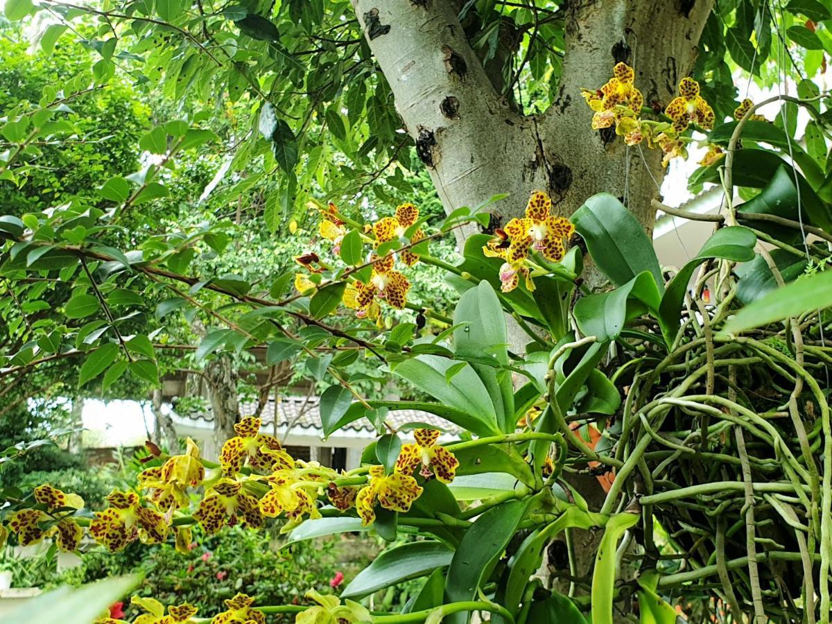 Villa Dieu Thong - Secrect Garden, View San May Va Nui Dalat Exteriör bild